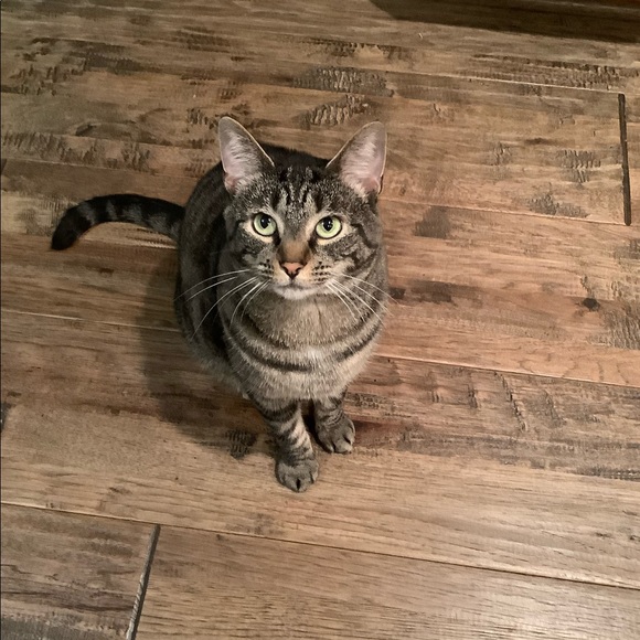 Meet your Posher, Christina - Picture 9 of 16